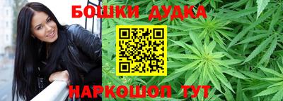 стаф Ставрополь