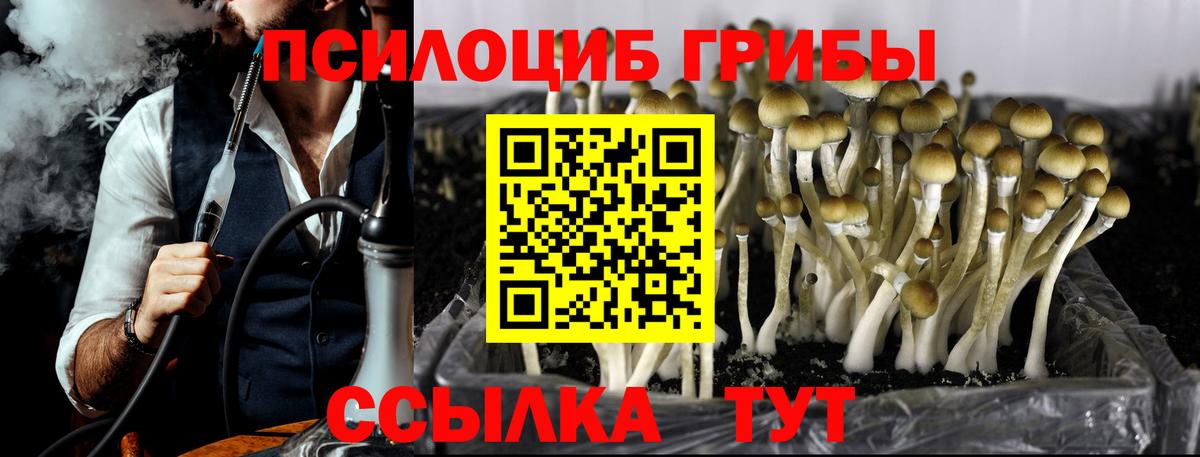 Павловский Посад  Псилоцибиновые грибы ЛСД  Псилоцибиновые грибы мухоморы  Вход с VPN 